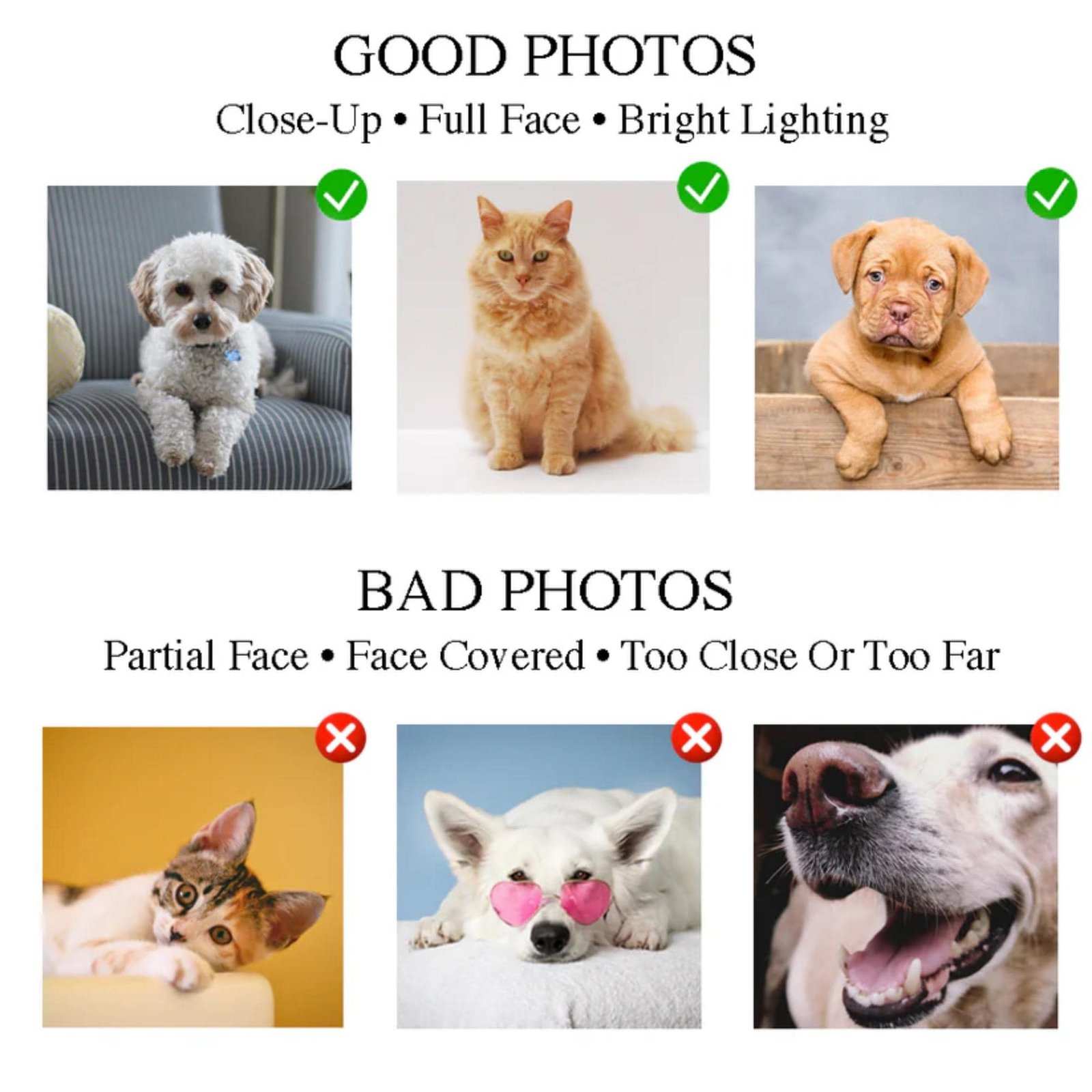 Custom Dog Face Embroidered Sweatshirt - Image 9